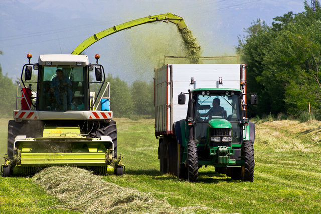 Avviato pagamento degli anticipi Pac: subito 620 milioni di euro agli agricoltori