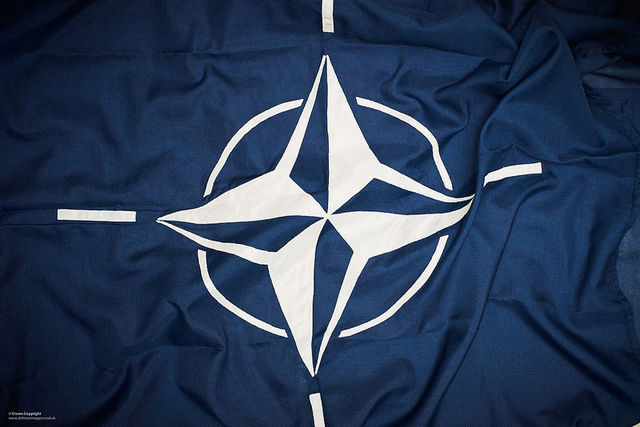 Nato, formazione e lavoro per studenti universitari e neolaureati