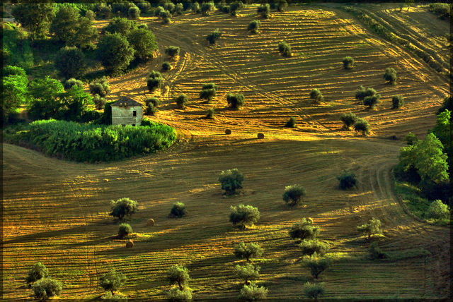 Oltre 2 miliardi di euro per agricoltura, pesca e agroalimentare 