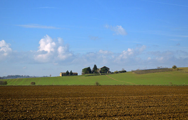 Legge di Stabilità: le misure per l'agricoltura in pillole