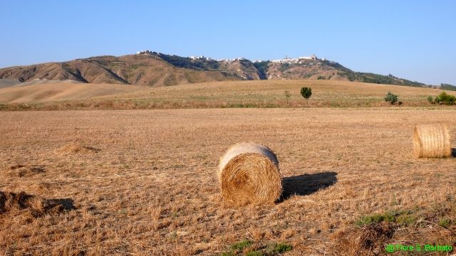 Giunta Regionale: assegnato più carburante per irrigazione e allevamenti