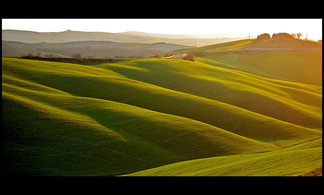 Agricoltura biologica: stanziati oltre 4 milioni per la ricerca