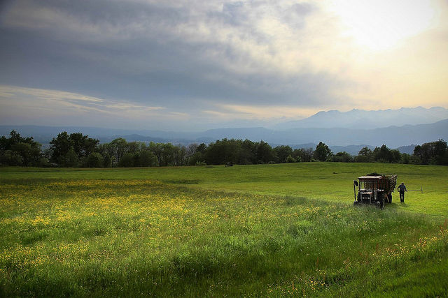 Utilizzo fitofarmaci: la Regione Basilicata si adegua alla normativa comunitaria e nazionale