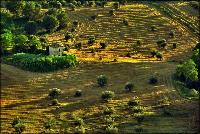 IMU terreni agricoli: modificate le spettanze 2014