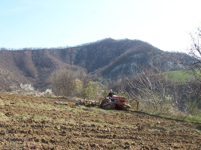 Agricoltori: il 15 giugno scade il termine per l'accesso ai contributi comunitari