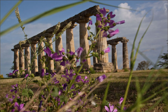 Grande Lucania: a Parigi il convegno sulle ricchezze archeologiche della Basilicata