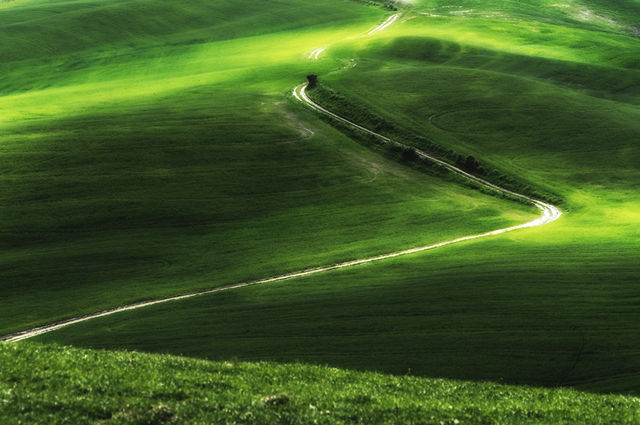 Quando una strada vicinale può ritenersi assoggettata a servitù di uso pubblico