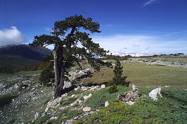 Natura e Arte si fondono nei Parchi della Basilicata