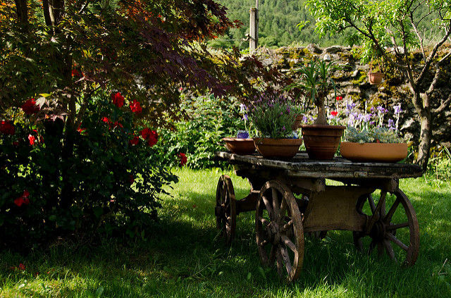 Detrazioni fiscali per gli interventi di sistemazione dei giardini privati