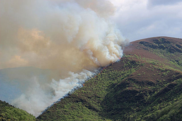 Servizi di antincendio boschivo, sanzioni per 67 milioni per intese sulle gare di affidamento servizi